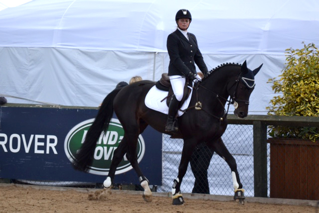 Julieann Gaffney Showjumping Kildare